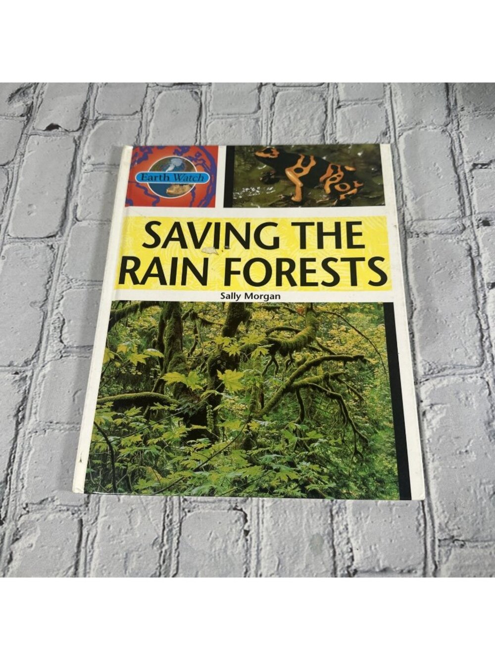 Saving the Rainforests Hardcover Sally Morgan Good Science Book